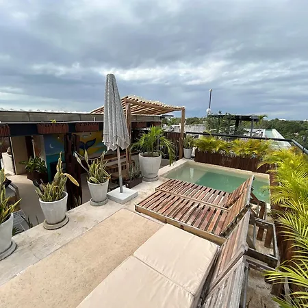 Selva Tulum-3